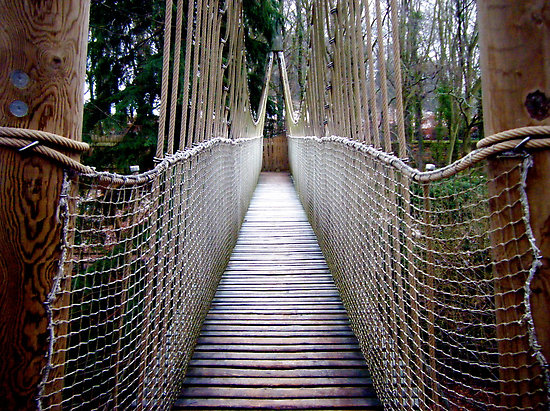 Rope Bridge Image